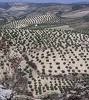 Dry spot ... arid areas a problem for Spain. Dry spot ... arid areas a problem for Spain.