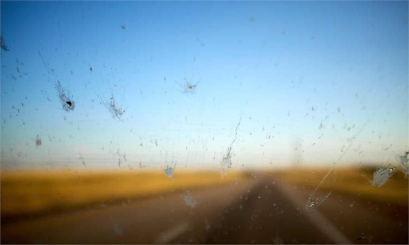 Splatter tests show decline in insect numbers