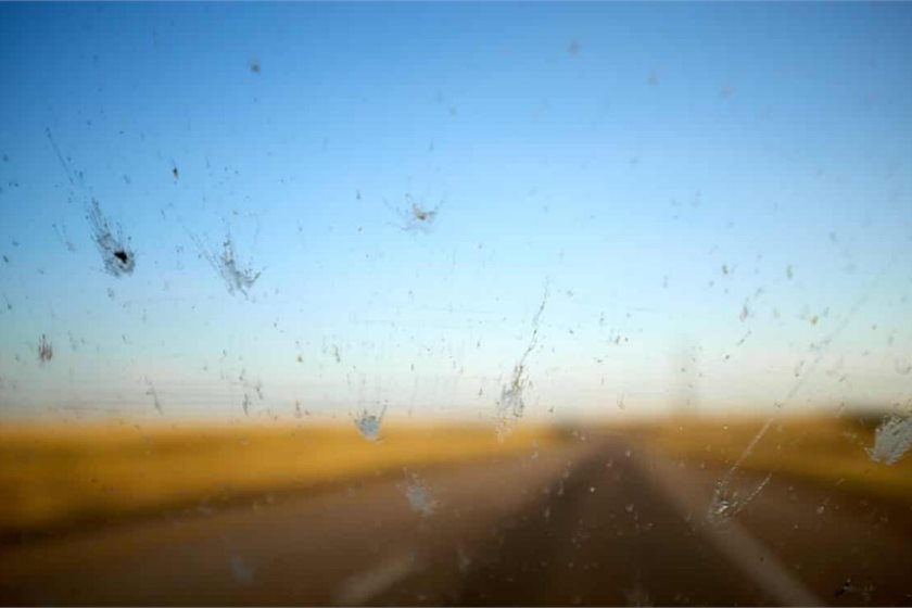 Splatter tests show decline in insect numbers