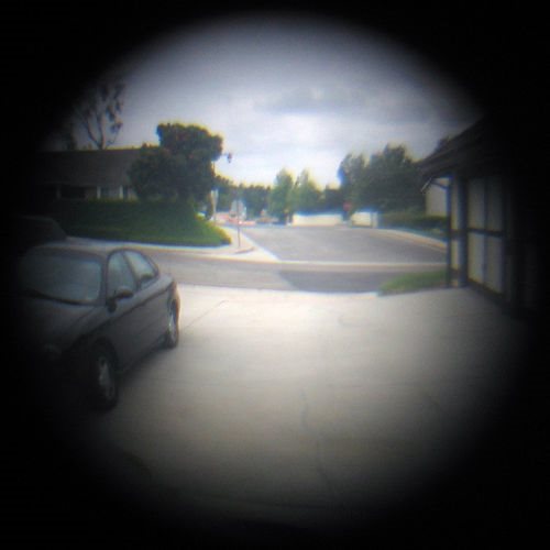 NZIER.. documents talk of $400,000 for model adaptation