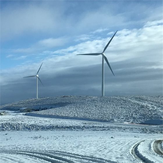 Meridian Energy