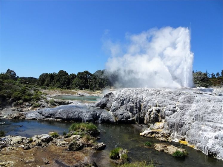 Pohutu geyser in Te Whakarewarewa