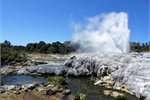 Pohutu geyser in Te Whakarewarewa Pohutu geyser in Te Whakarewarewa