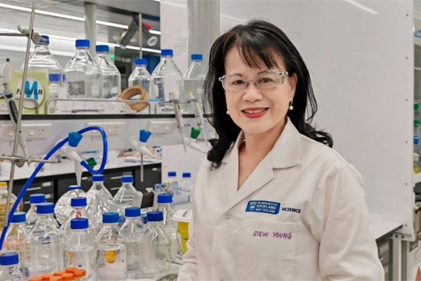Professor Siew-Young Quek