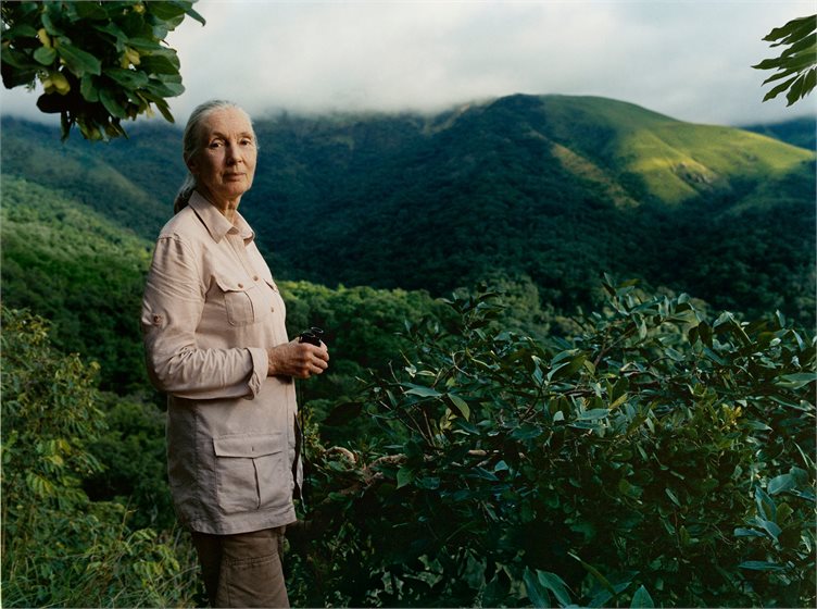 Jane Goodall/Facebook