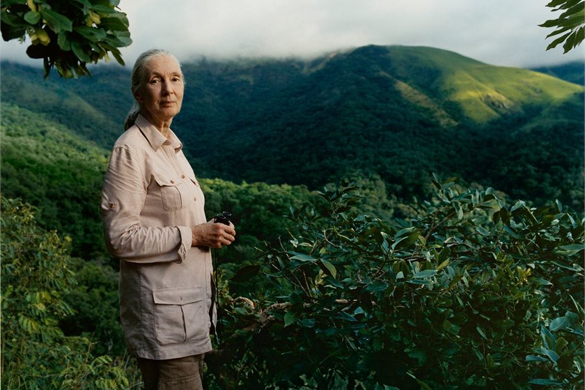Jane Goodall/Facebook