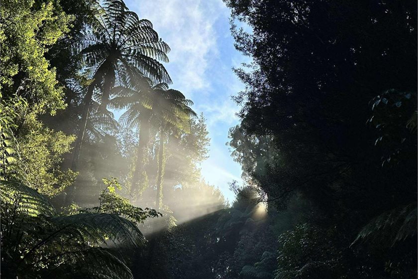 Sanctuary Mountain Maungatautari/Facebook