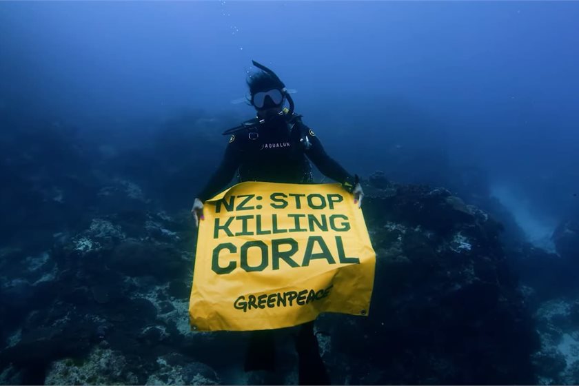Greenpeace