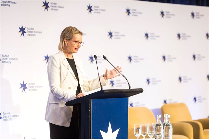 Opposition Leader Sussan Ley