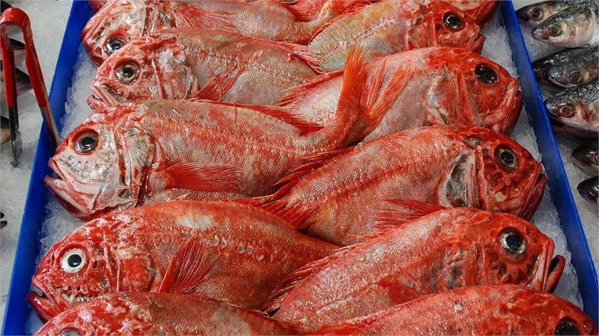 Marine Stewardship Council