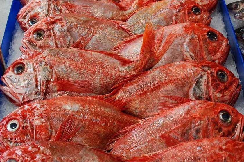 Marine Stewardship Council