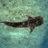 naushad mohamed via Unsplash naushad mohamed via Unsplash