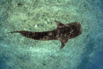naushad mohamed via Unsplash naushad mohamed via Unsplash