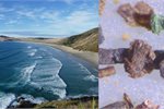 The microplastics found on a Waikato beach The microplastics found on a Waikato beach
