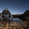 Dr Roberta D'Archino diving amongst seaweed. Dr Roberta D'Archino diving amongst seaweed.
