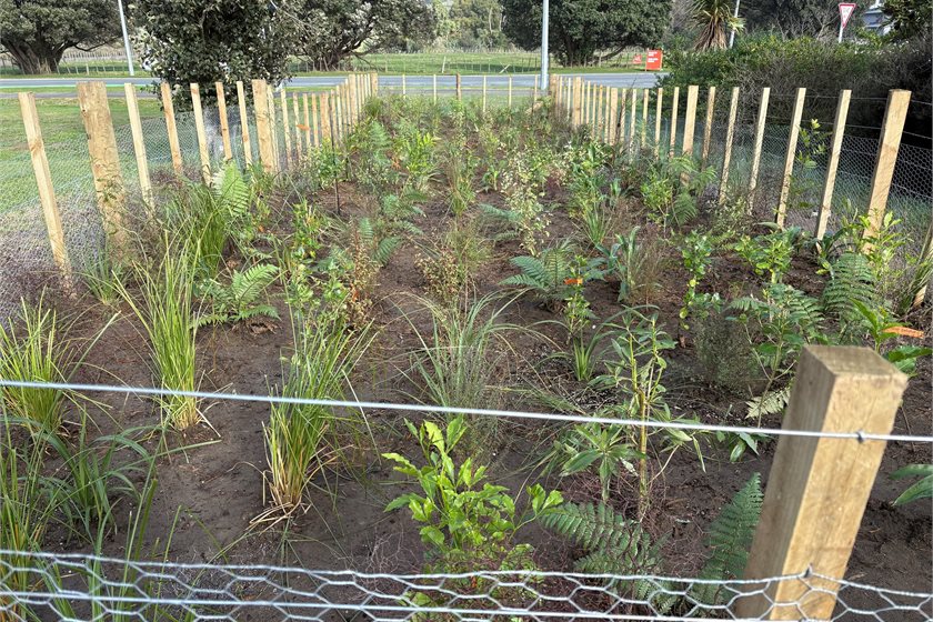 TreeSpace Kāpiti
