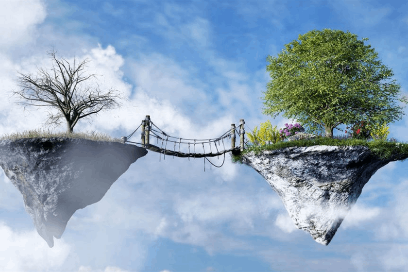 University of Auckland