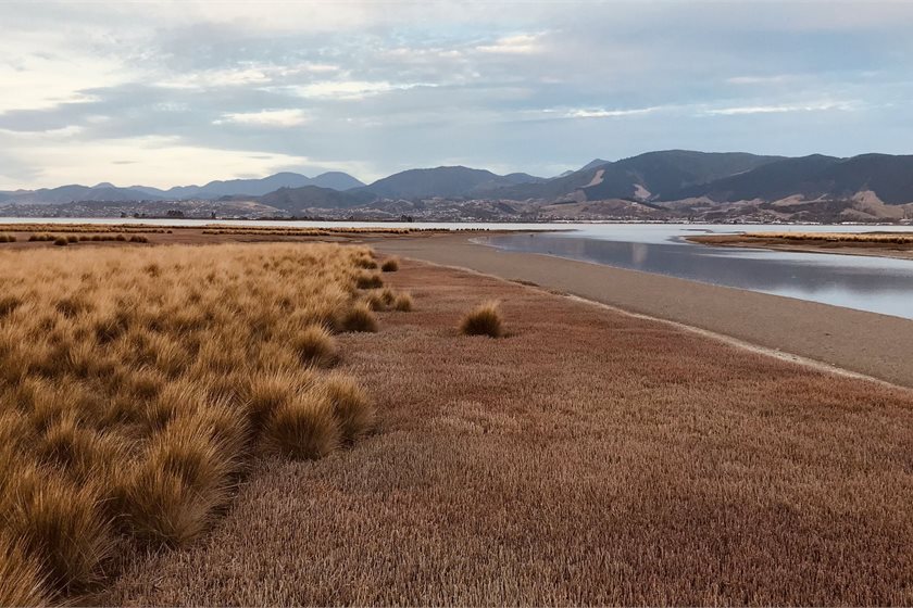 The Nature Conservancy Aotearoa New Zealand