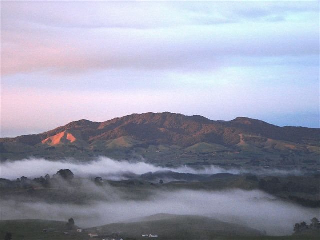 Sanctuary Mountain Maungatautari