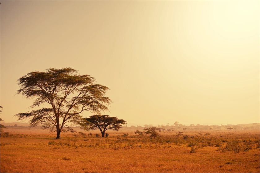 Depositphotos