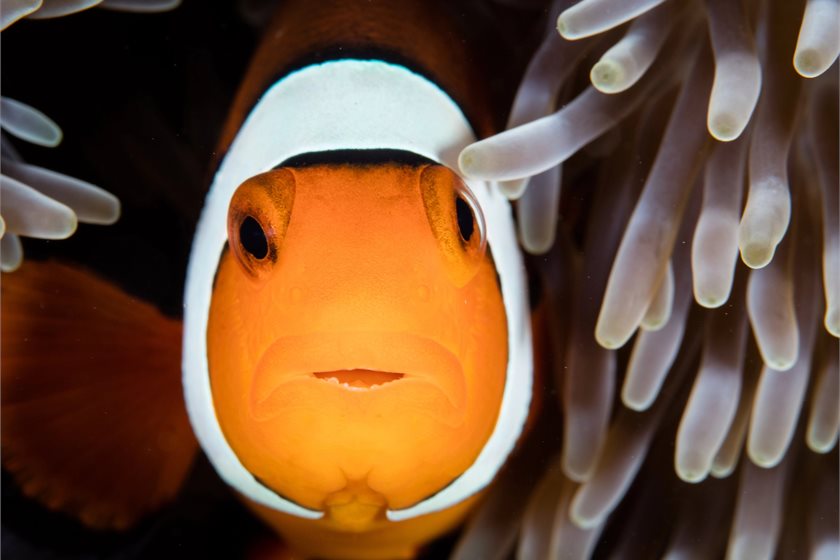 Depositphotos