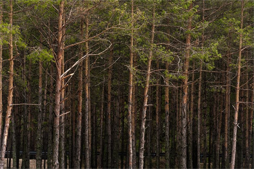 Depositphotos