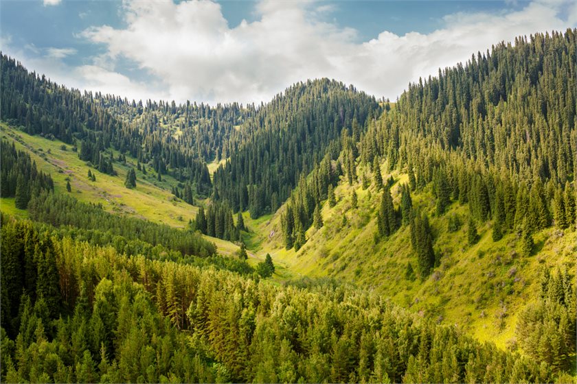 Depositphotos