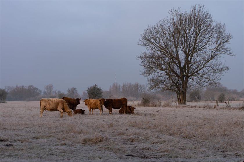 Depositphotos