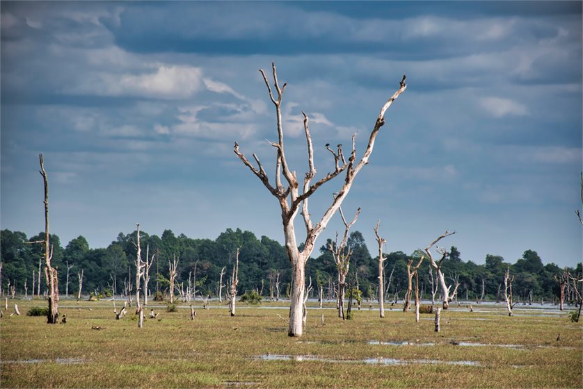 Depositphotos