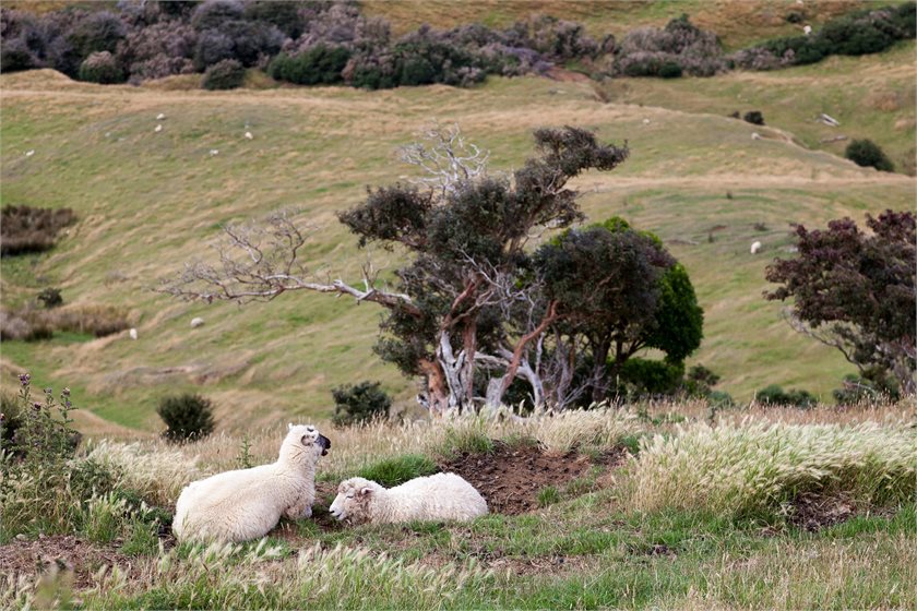 Depositphotos