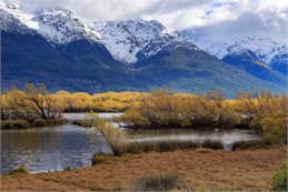 Wetlands at Glenorchy Lagoon Wetlands at Glenorchy Lagoon