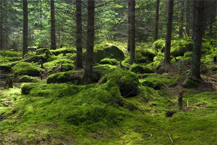 Depositphotos