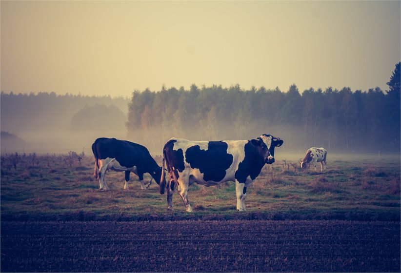 Depositphotos