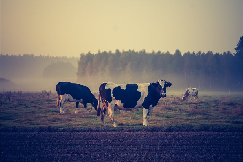 Depositphotos