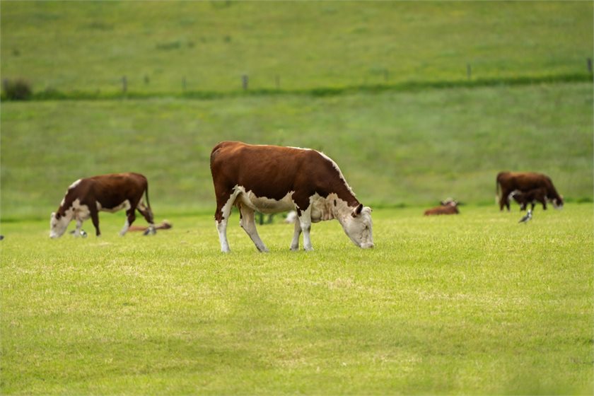 Depositphotos
