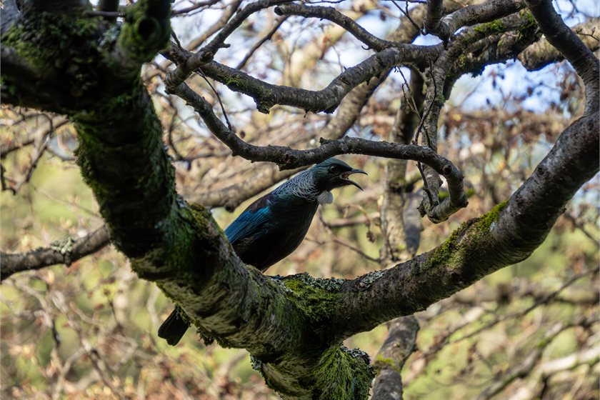 Depositphotos