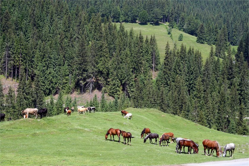 Depositphotos