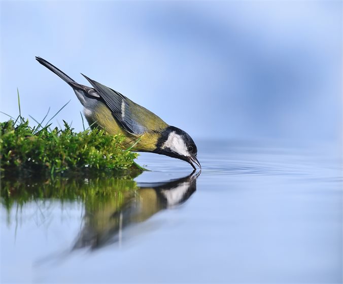Depositphotos