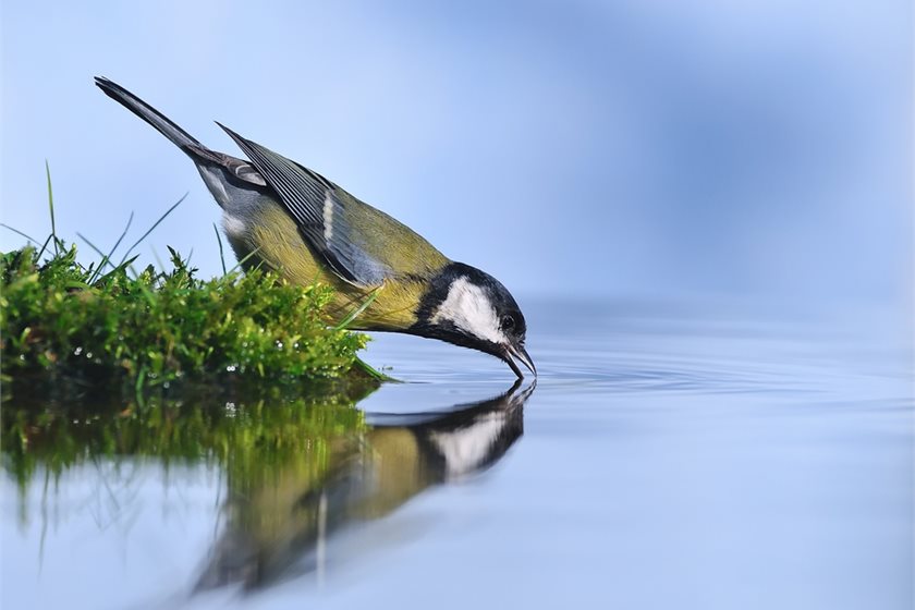 Depositphotos