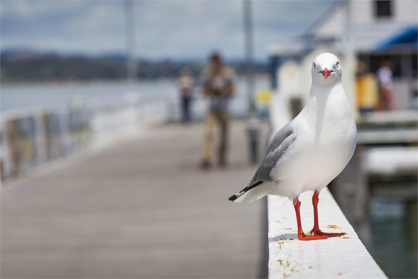 Depositphotos