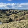 Earth Sciences NZ engineering geologists Chris Massey and Kerry Leith survey Cyclone Gabrielle landslides in Hawkes Bay Earth Sciences NZ engineering geologists Chris Massey and Kerry Leith survey Cyclone Gabrielle landslides in Hawkes Bay