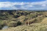 Earth Sciences NZ engineering geologists Chris Massey and Kerry Leith survey Cyclone Gabrielle landslides in Hawkes Bay Earth Sciences NZ engineering geologists Chris Massey and Kerry Leith survey Cyclone Gabrielle landslides in Hawkes Bay