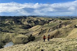 Earth Sciences NZ engineering geologists Chris Massey and Kerry Leith survey Cyclone Gabrielle landslides in Hawkes Bay Earth Sciences NZ engineering geologists Chris Massey and Kerry Leith survey Cyclone Gabrielle landslides in Hawkes Bay