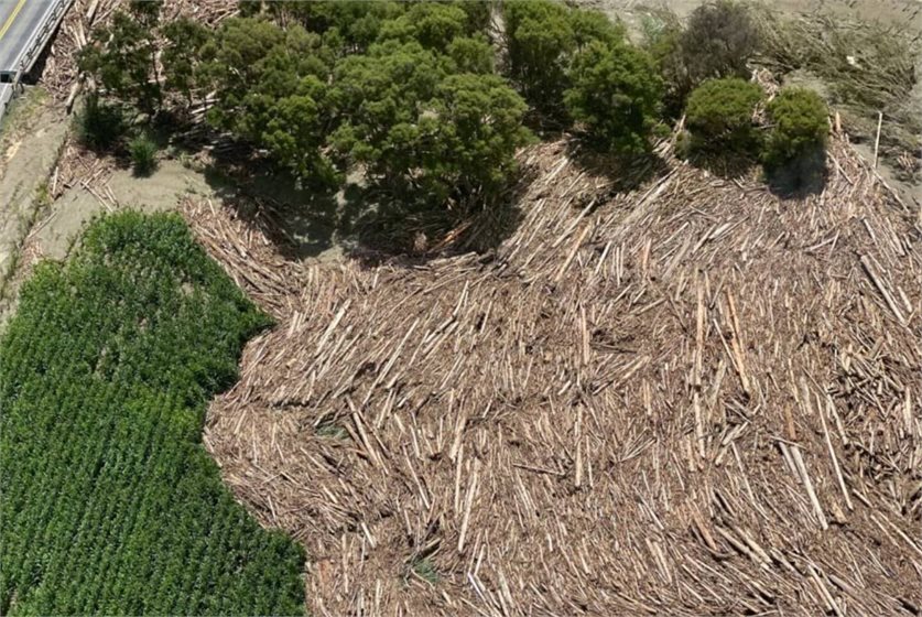 Forestry slash in a river near Gisborne following Cyclone Gabrielle