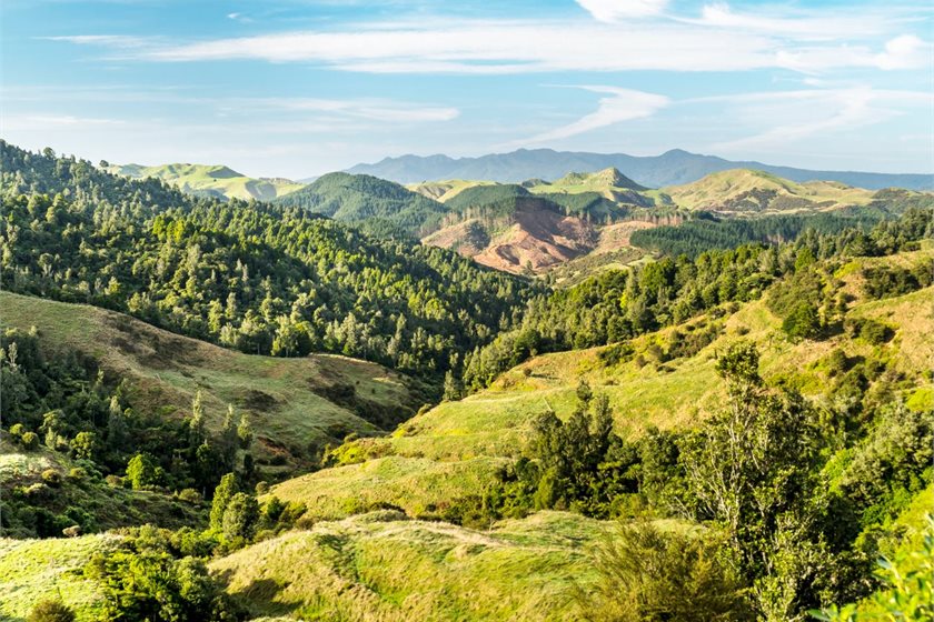 Parliamentary Commissioner for the Environment