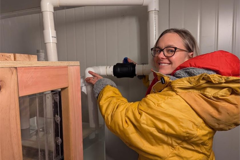 Antarctica New Zealand