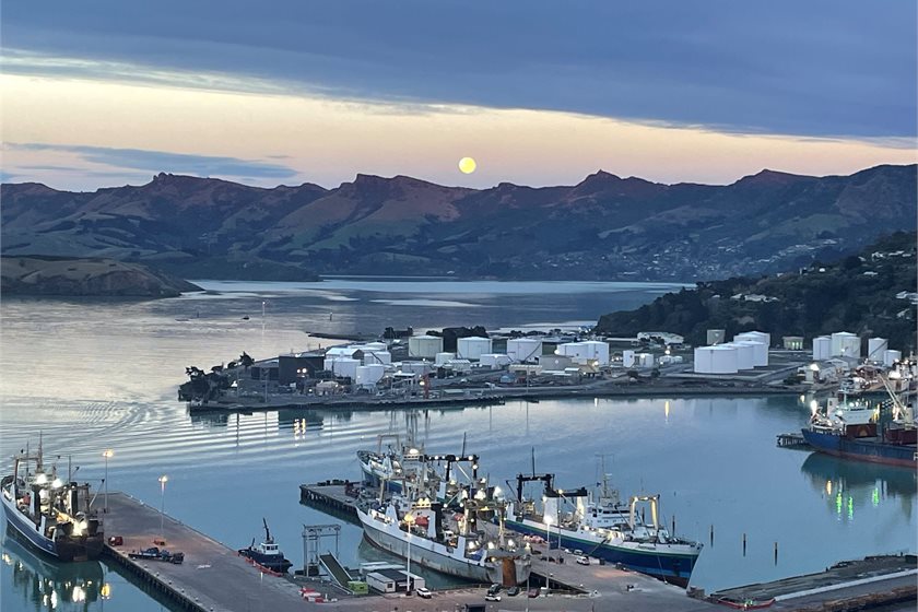 Gas tanks at Te Whakaraupō Lyttelton Harbour
