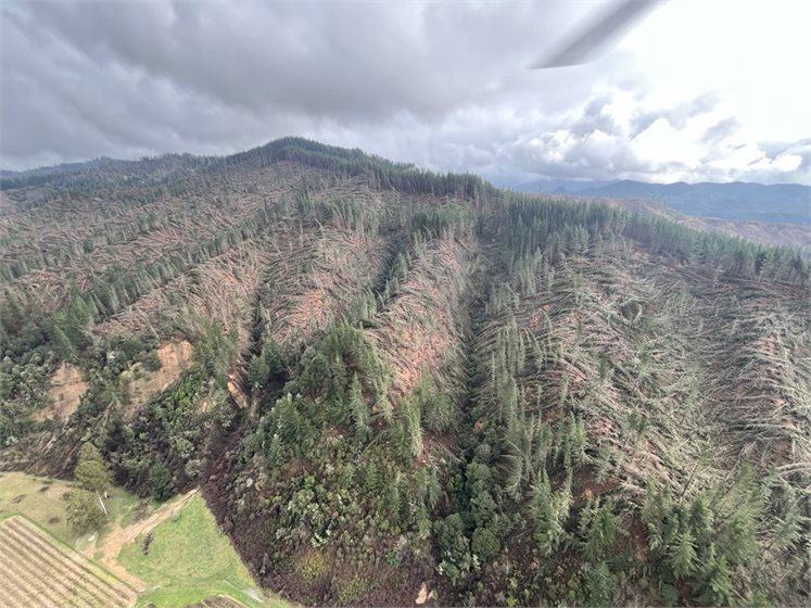 Forest damage following recent weather events in the Nelson-Tasman region.