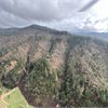 Forest damage following recent weather events in the Nelson-Tasman region. Forest damage following recent weather events in the Nelson-Tasman region.