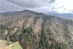 Forest damage following recent weather events in the Nelson-Tasman region. Forest damage following recent weather events in the Nelson-Tasman region.